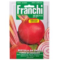 Franchi Sementi Tonda Di Chioggia Beetroot 